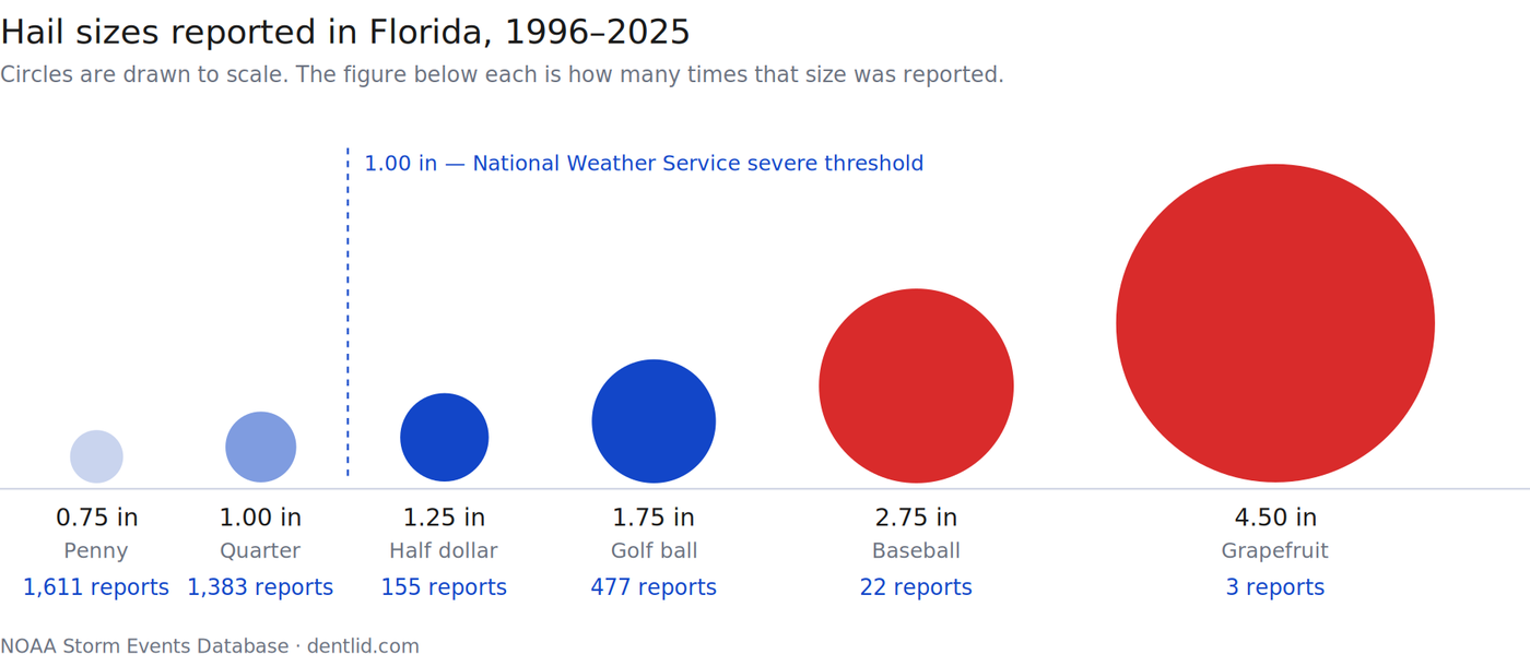 Hail sizes reported in Florida compared to a penny, quarter, golf ball and grapefruit